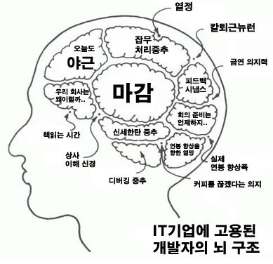 주니어 개발자의 프로젝트 참가기 (3) - Sprint 1차 달리기